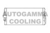 AUTOGAMMA 103619 Condenser, air conditioning